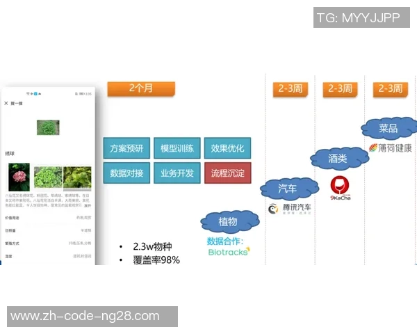 独家解析杭州飞盘队与其他队伍技术差异与优势分析